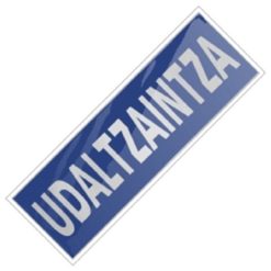 RE0100290036R01